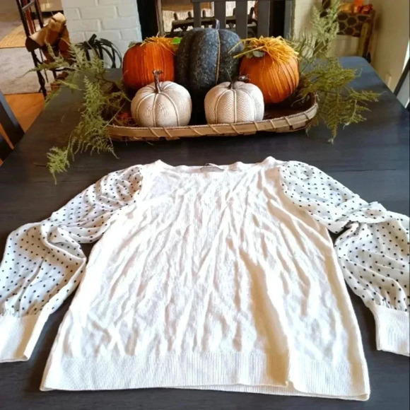 LOFT Sweaters - Loft Sweater NWOT